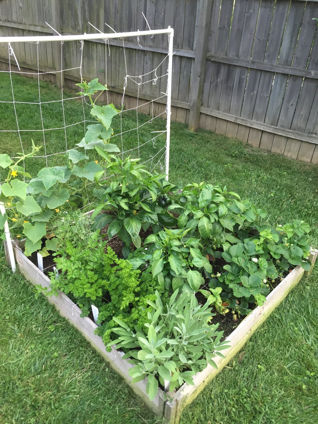 Square Foot Gardening Informational Text Example