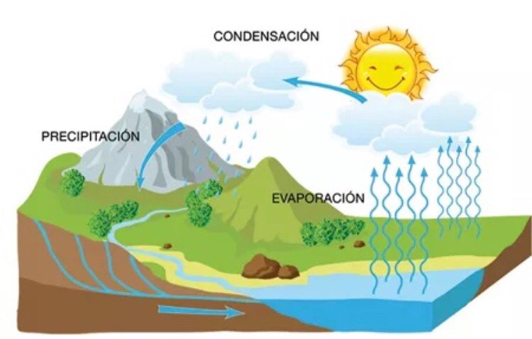 El ciclo del agua