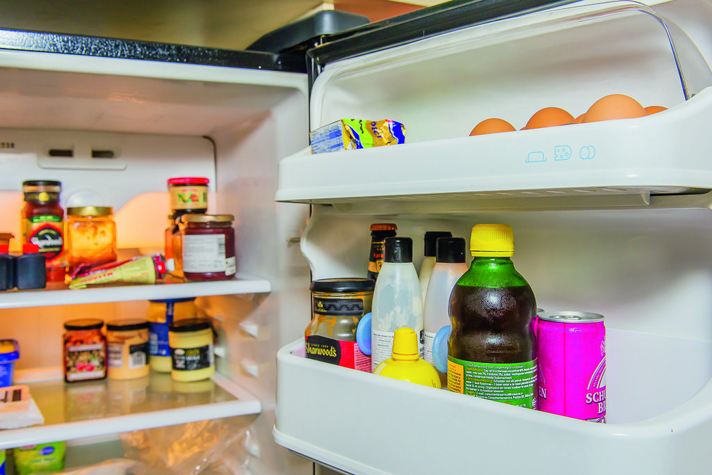 How To Keep Fridge Door From Opening The Door