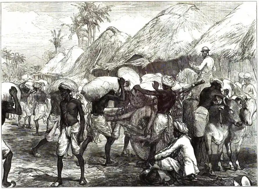 When the British became the owners of Indian farmlands