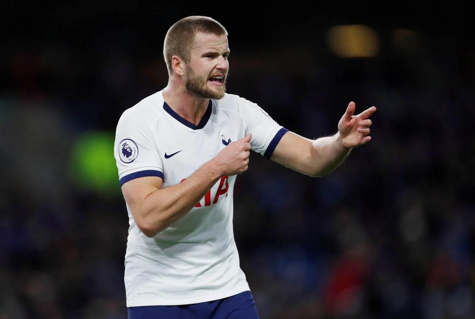 Tottenham Hotspur Fans go wild for latest Eric Dier images