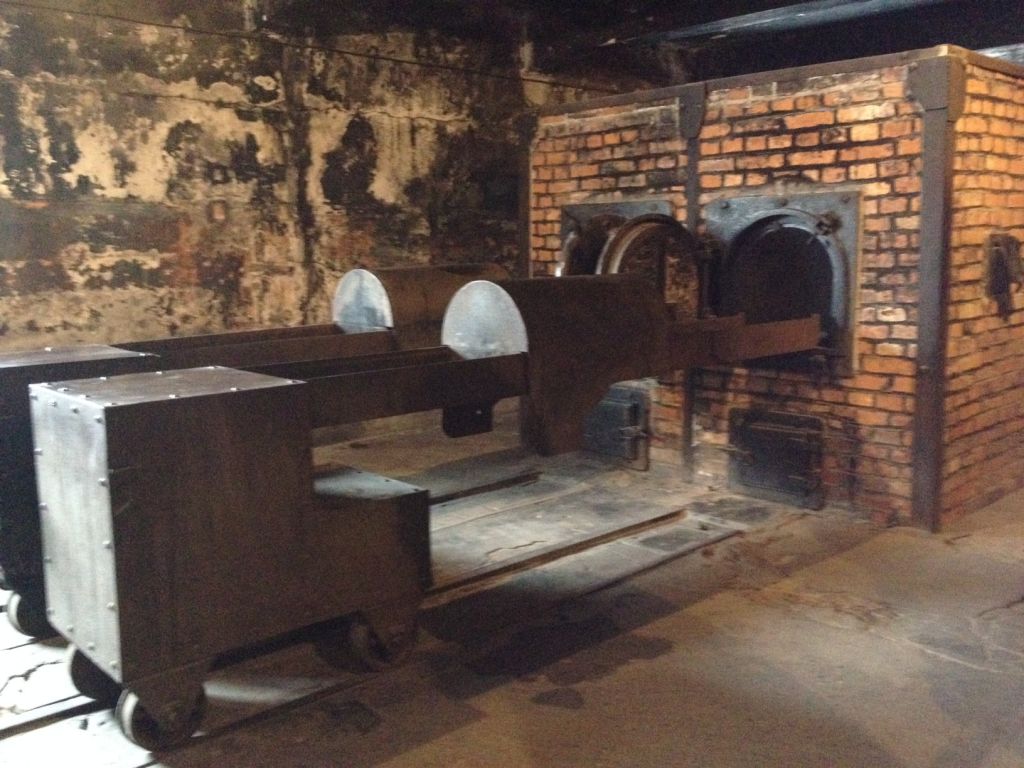 À Auschwitz, des 'vainqueurs' israéliens revivent leur terrible passé