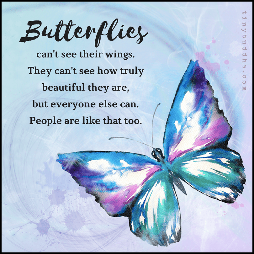 People Are Like Butterflies Tiny Buddha