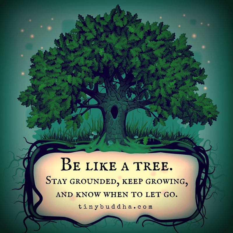 Top Be Like A Tree Quote of the decade Check it out now quotesenglish5
