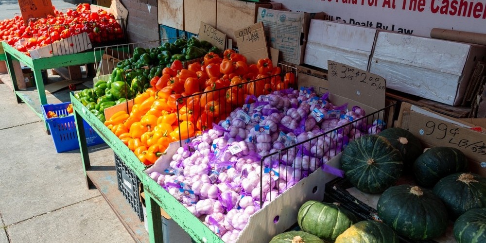 How Much to Earn for Comfortable Living in Toronto? [2024]