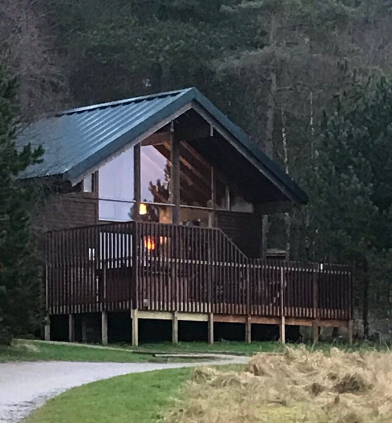 How To Start A Champagne House On A Budget ToronadoSD