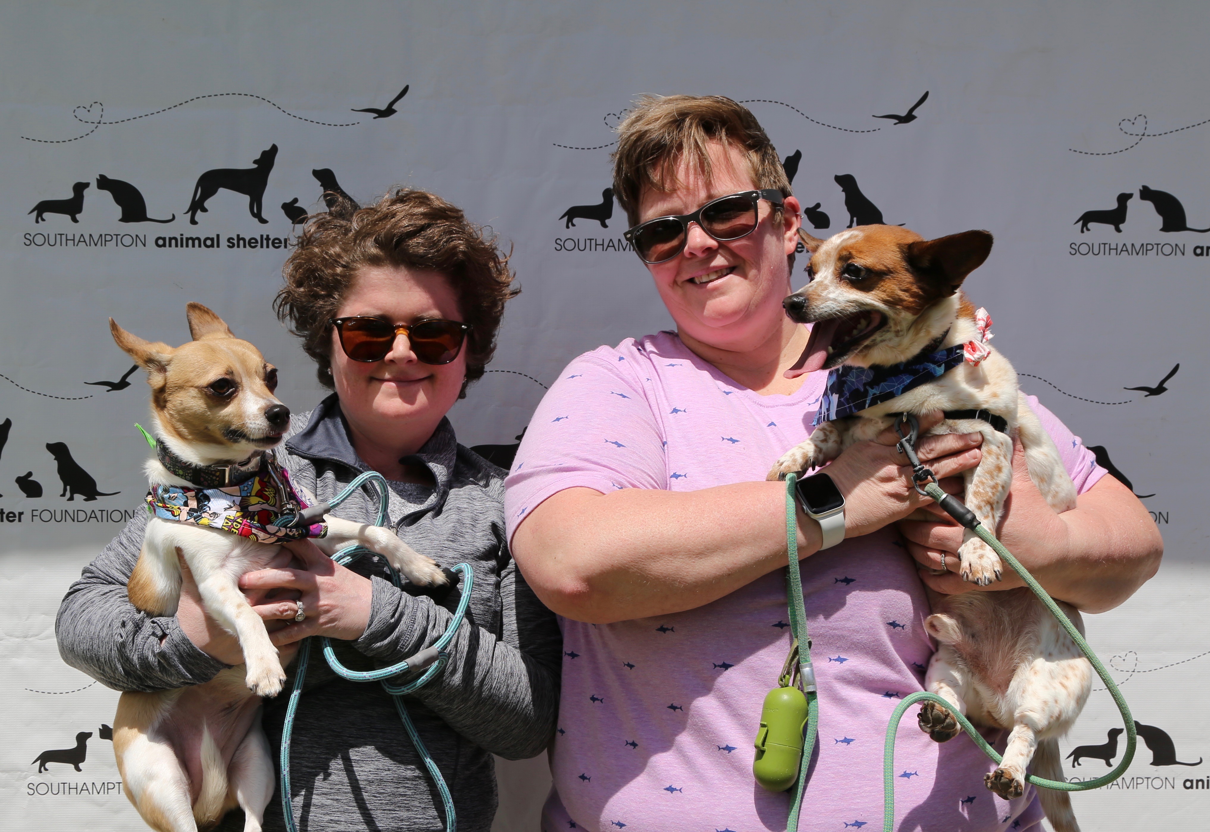 IMG_1289 Southampton Animal Shelter Foundation