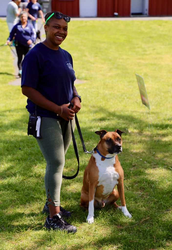 IMG_1435 Southampton Animal Shelter Foundation