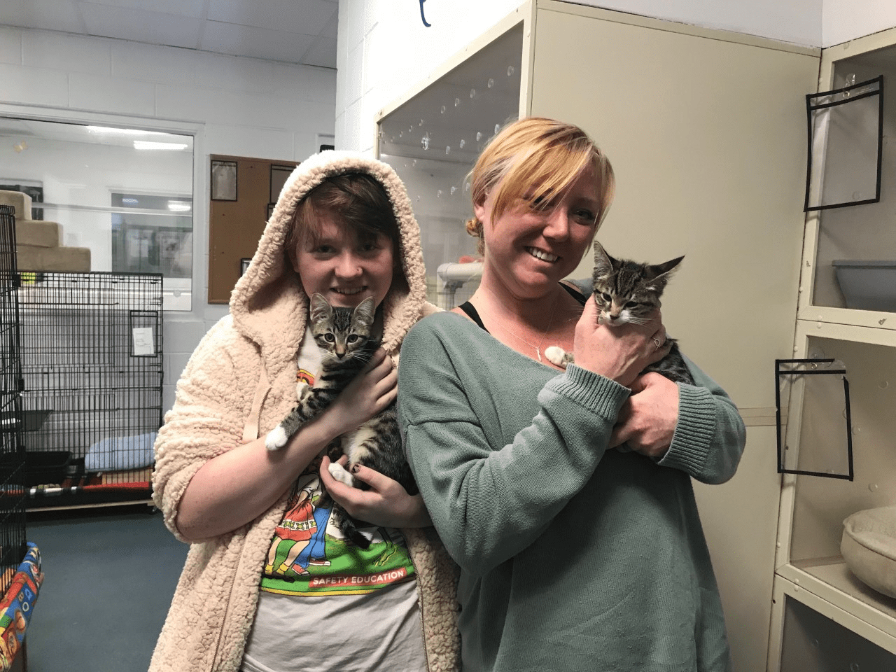 Home Southampton Animal Shelter Foundation