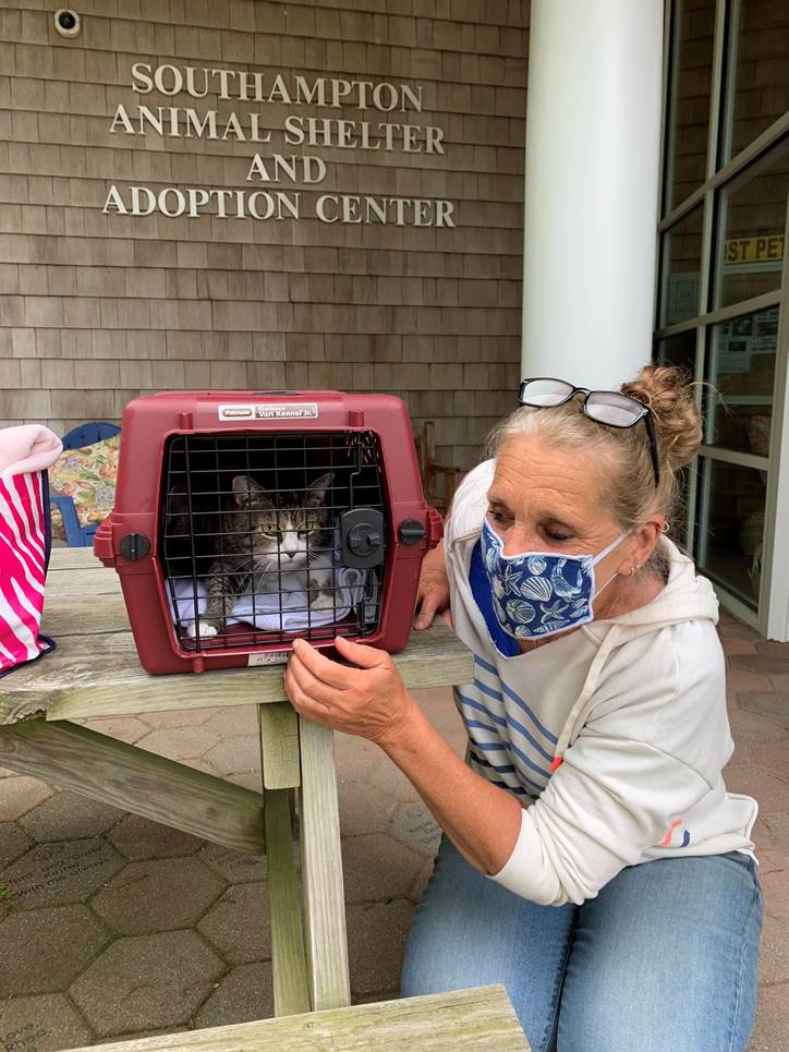Home Southampton Animal Shelter Foundation
