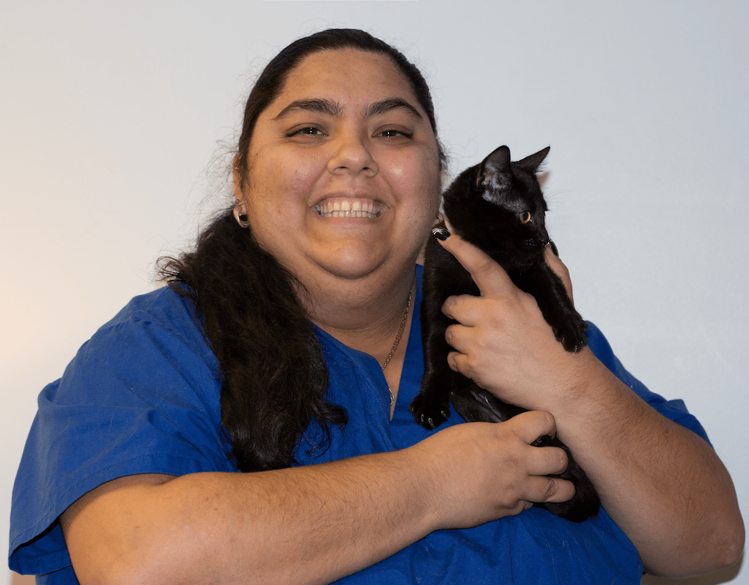 About Us Southampton Animal Shelter Foundation