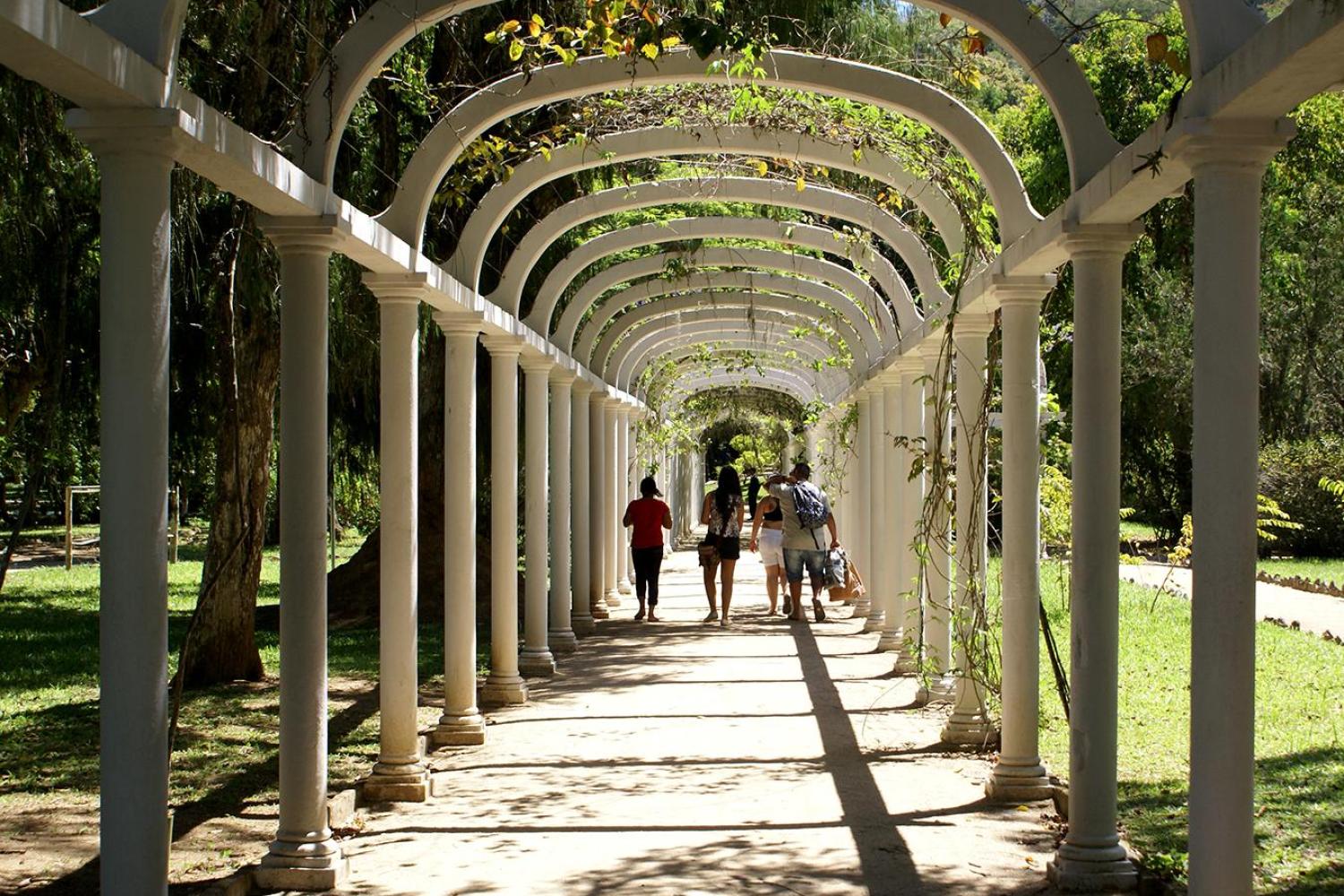 Botanical Garden Ticket and Visit Rio de Janeiro, Brazil Gray Line