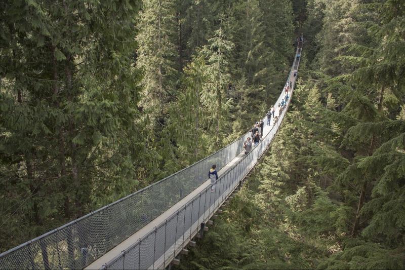 Grouse Mountain & Capilano Suspension Bridge Park From Vancouver