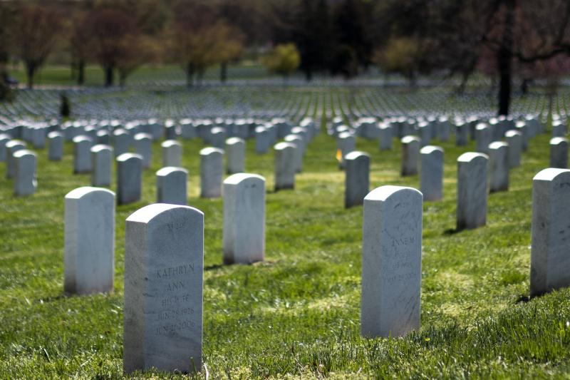 Arlington Cemetery & Mount Vernon Tour from DC Gray Line