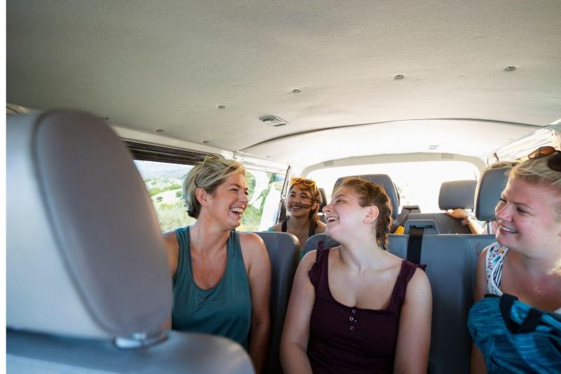 Los Cabos Private Mini Van One Way Gray Line