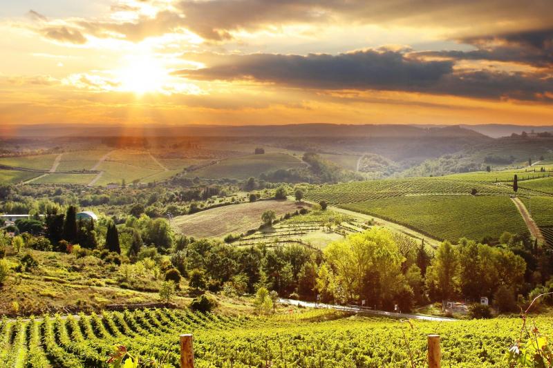 Chianti Classico Private Wine Tour with Dinner in a boutique Estate