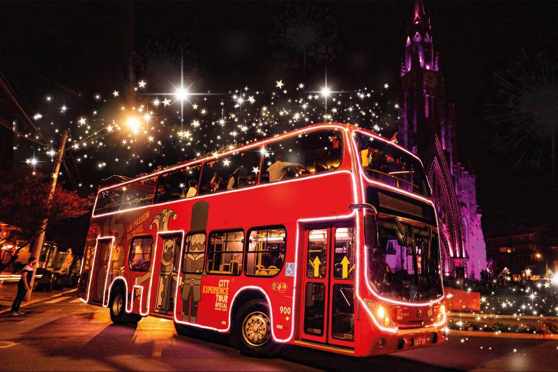 Illumination Bus Tour Christmas Lights Show Gray Line