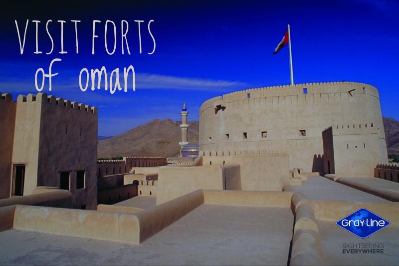 Full Day Private Vehicle Rental with Driver in Muscat Gray Line