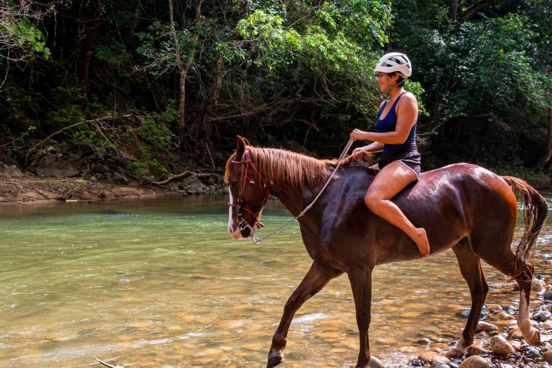 Puerta Vallarta Horseback Riding Puerto Vallarta, Mexico Gray Line