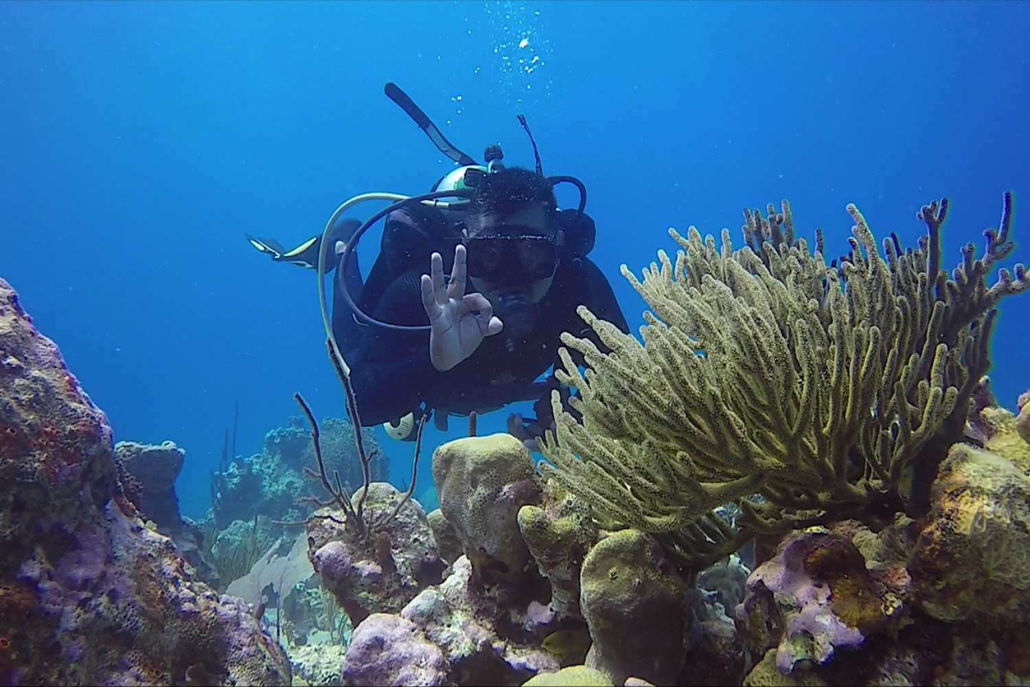 10Dive Package ScubaCaribe