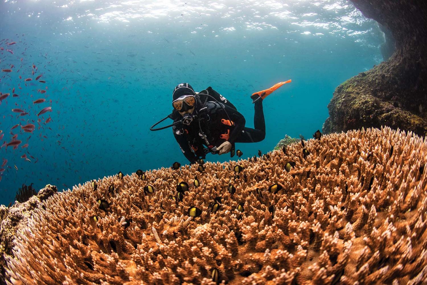 Costa Rica Scuba Diving