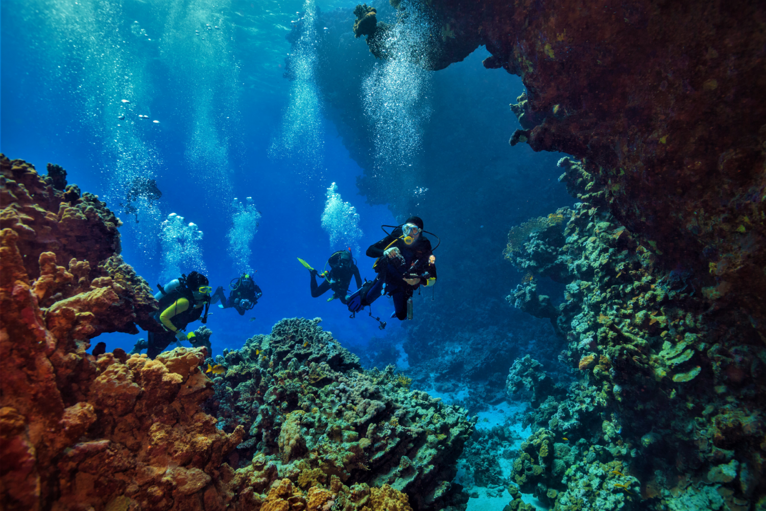 Ocho Rios ScubaCaribe