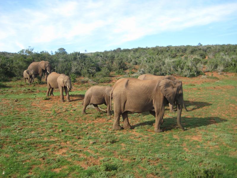 Tour Nairobi To Johannesburg (74 Days) Coast To Coast Oasis