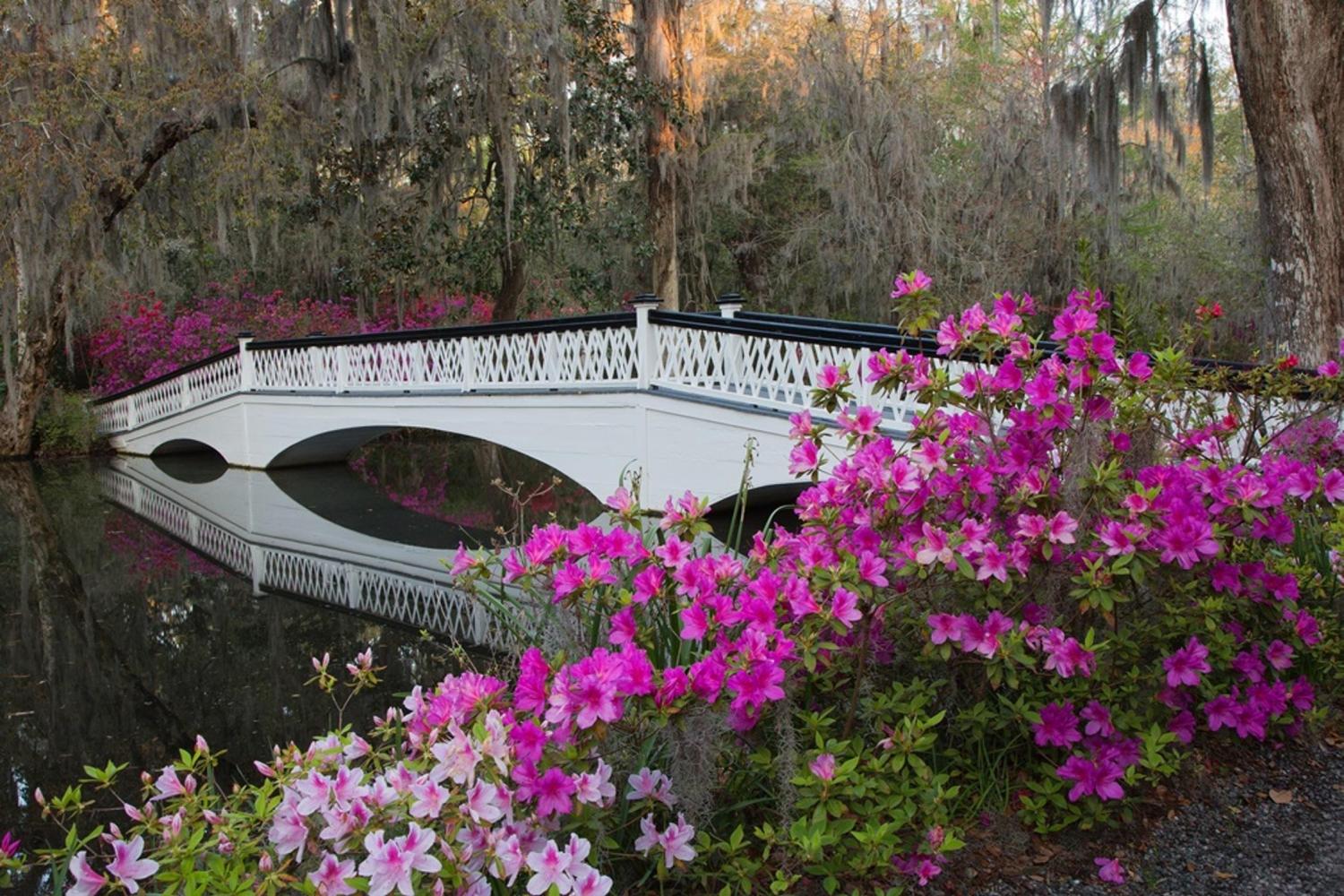 Historic City Tour & Magnolia Plantation Charleston