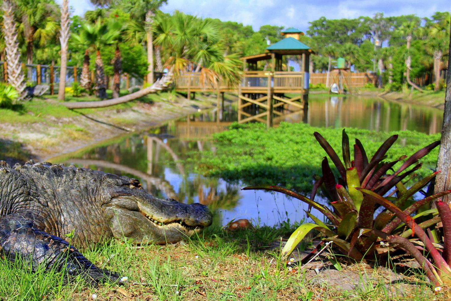 Wild Florida Wildlife Park Admission Orlando