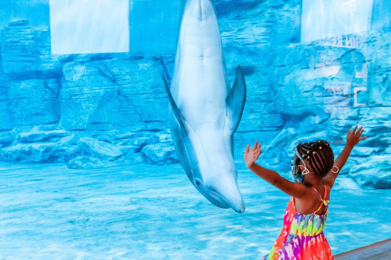 Winter Clearwater Marine Aquarium Tickets