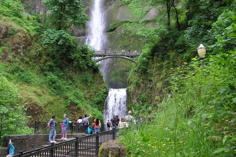 Portland HopOn HopOff Trolley & Multnomah Falls Combination Tour