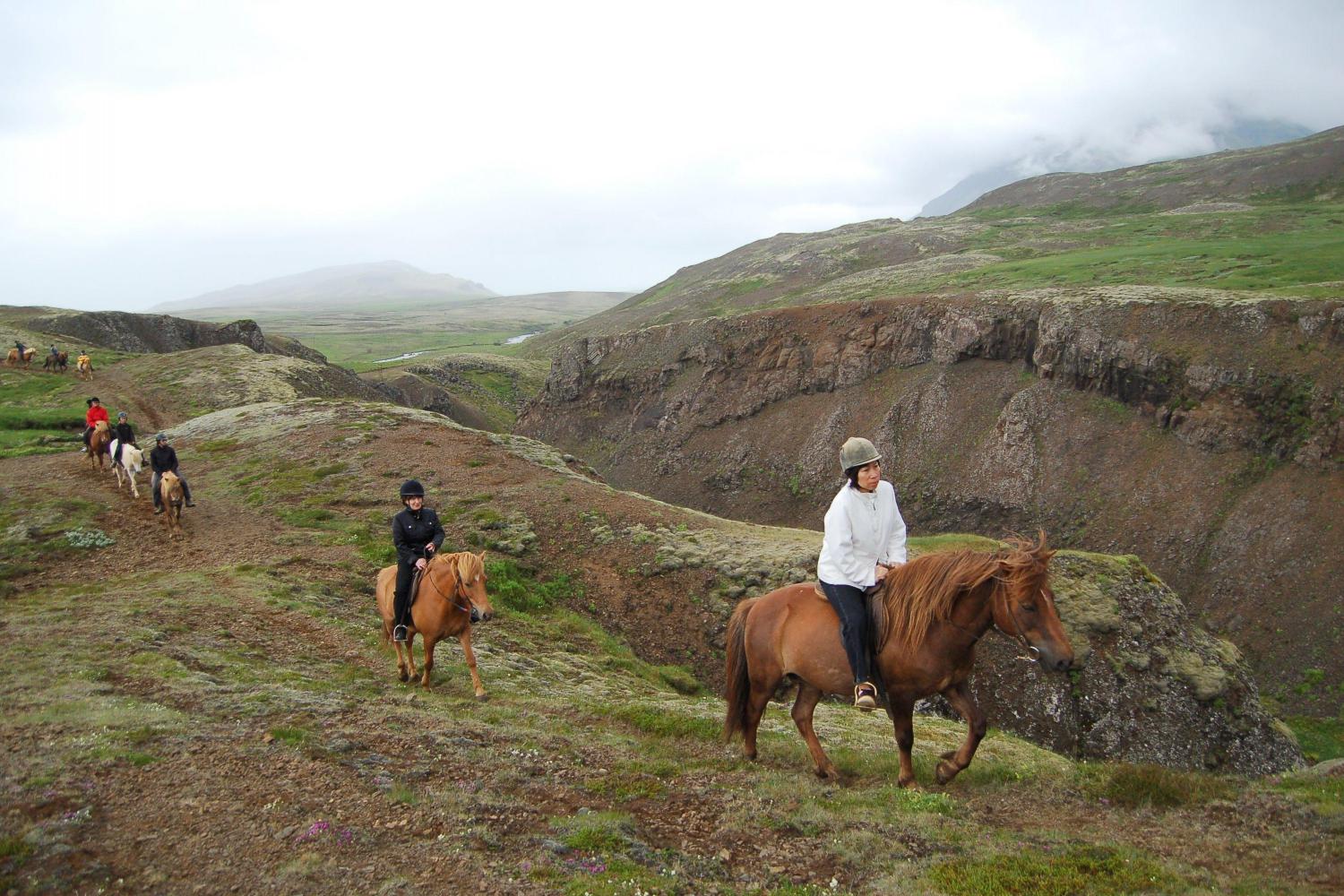 Icelandic Horse Riding Tour Reykjavik