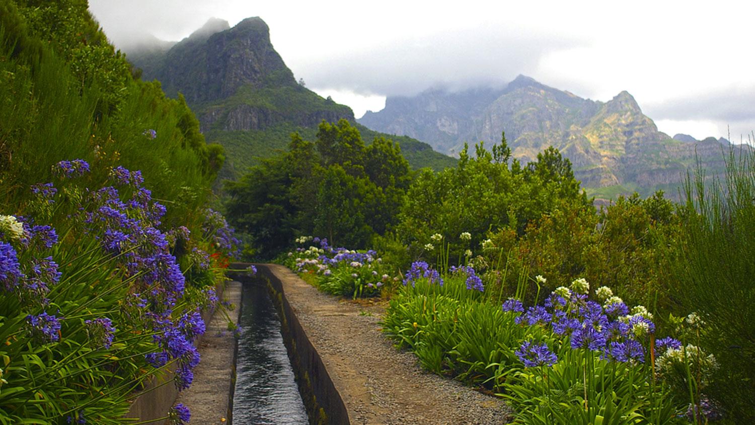 Madeira The Flower Island Macs Adventure