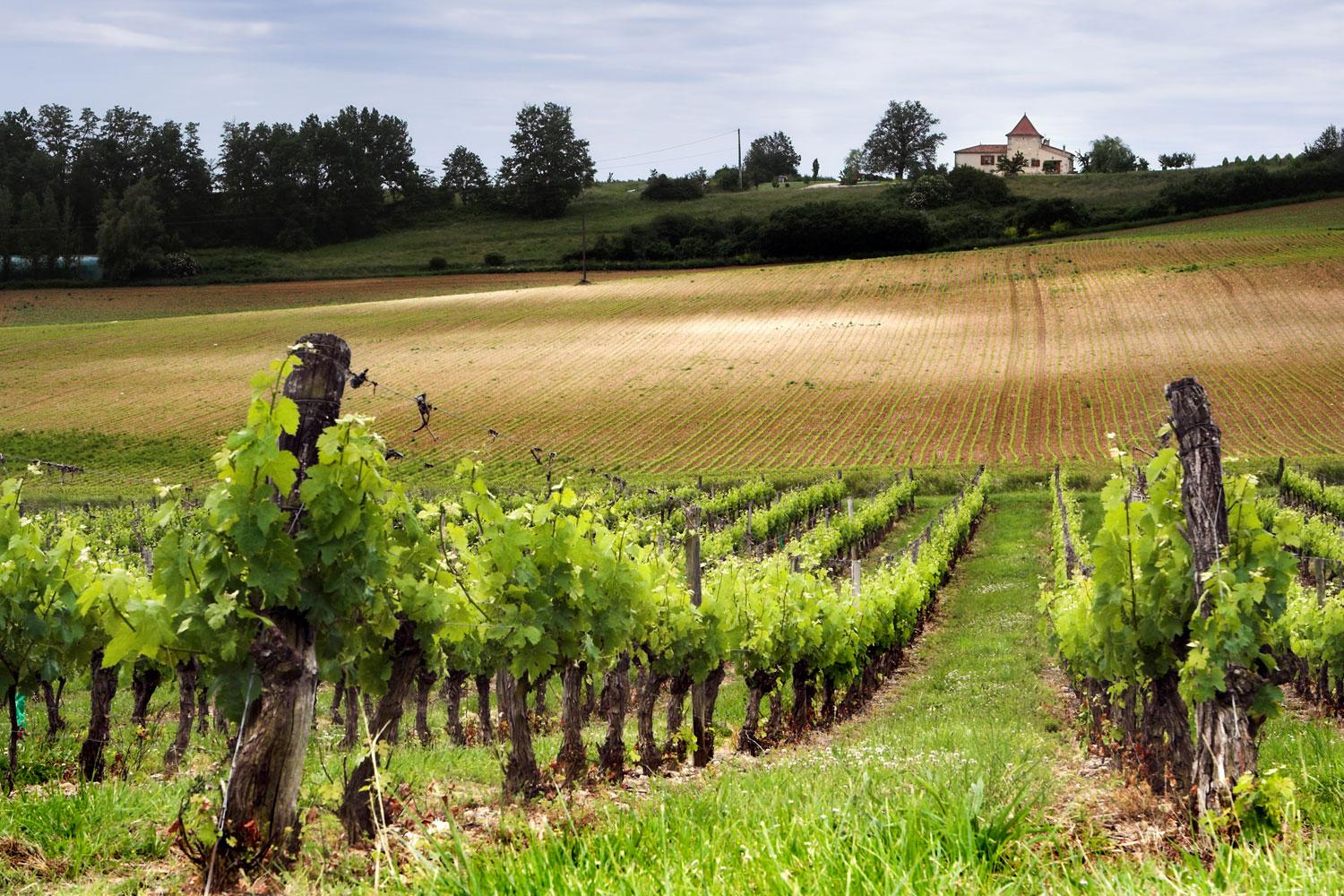 Bordeaux Wine Trails Macs Adventure