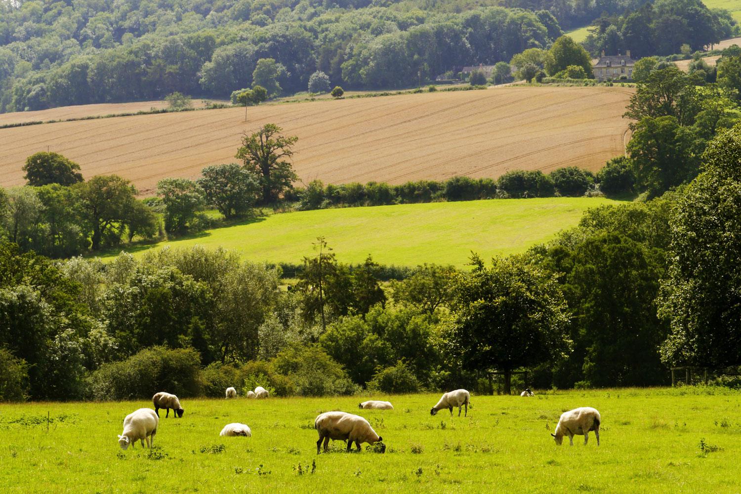 Cotswold Way Self Guided Walking Holidays Macs Adventure