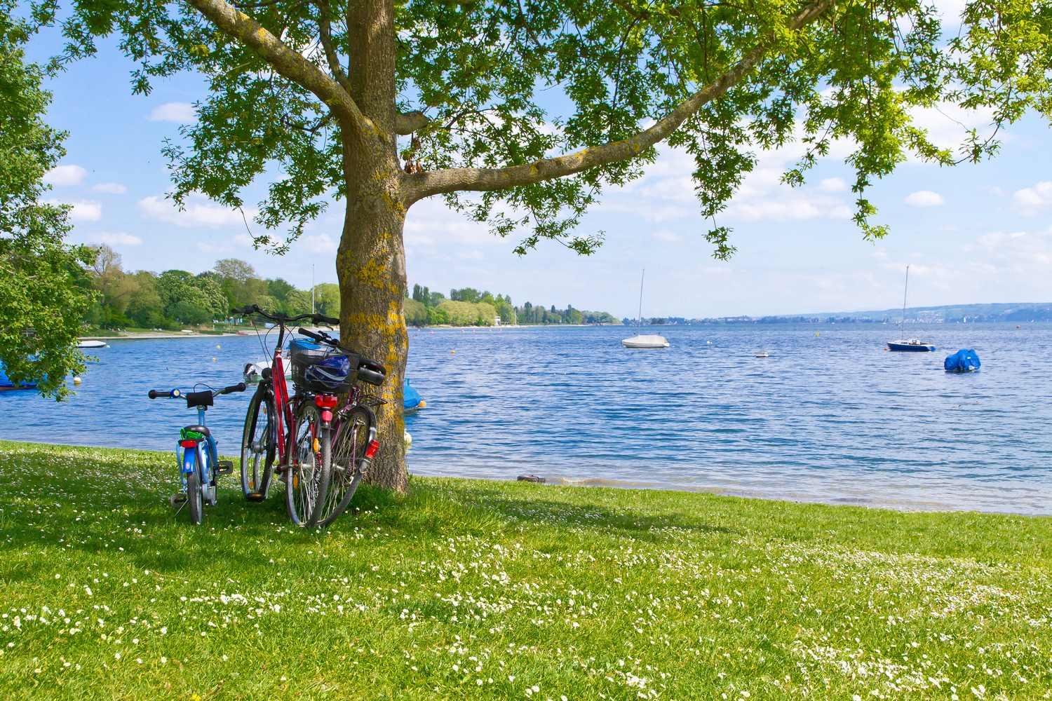 Family Lake Constance Cycle Path Macs Adventure