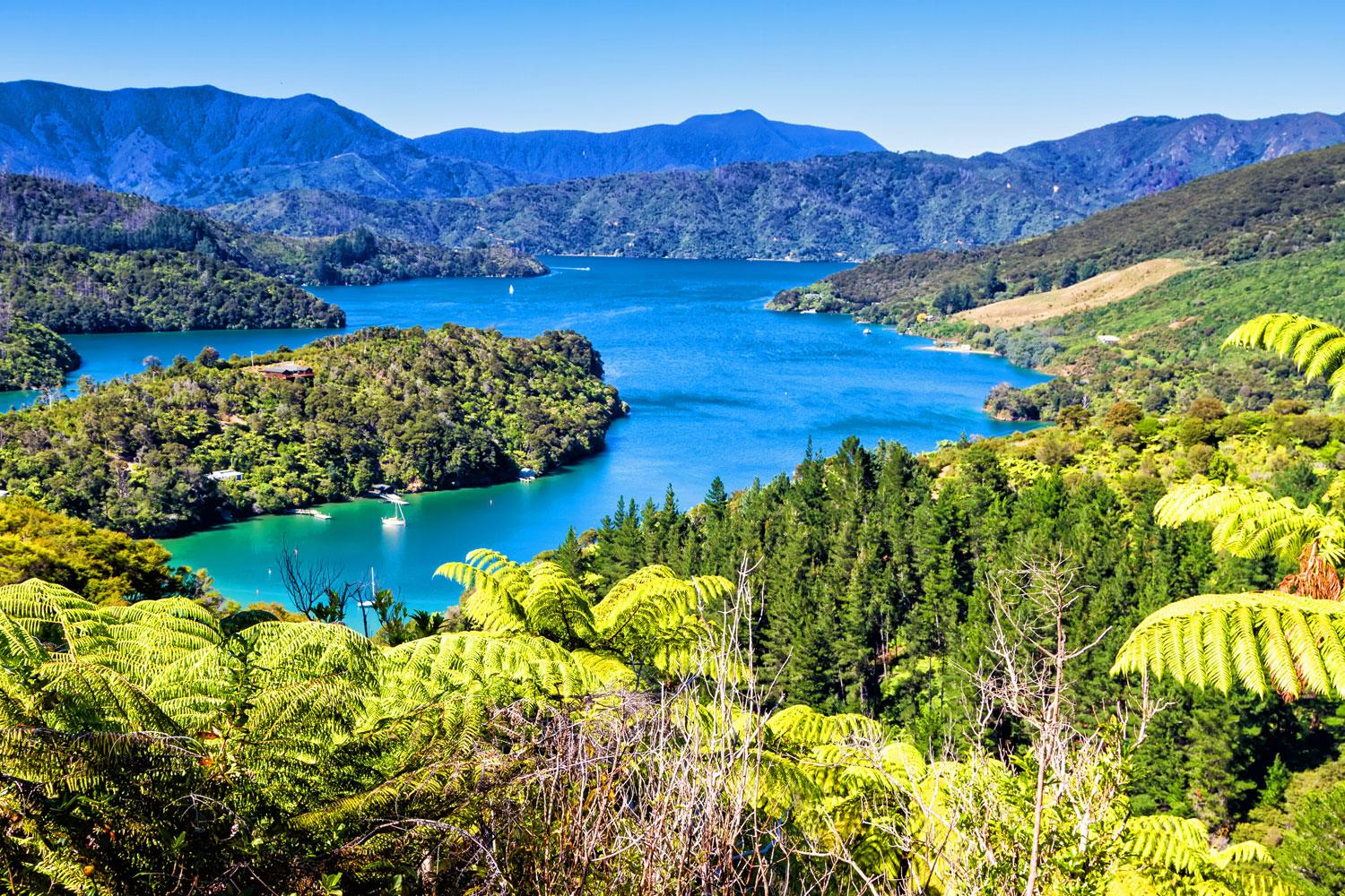Queen Charlotte Track Macs Adventure