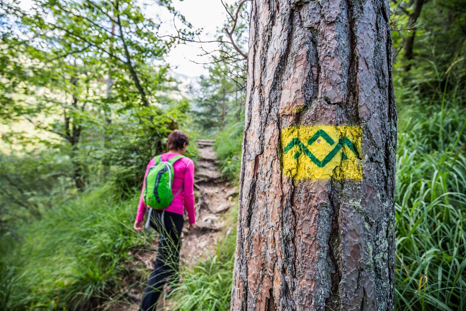 Bavarian Alps Hiking the Salt Trail Macs Adventure