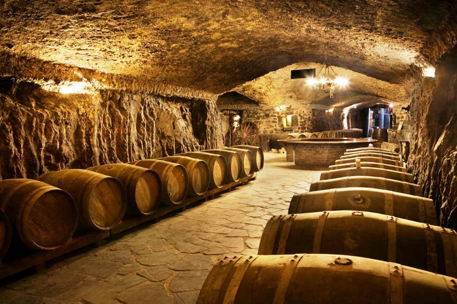 Visita bodega Eguren Ugarte Laguardia Paganos, Laguardia