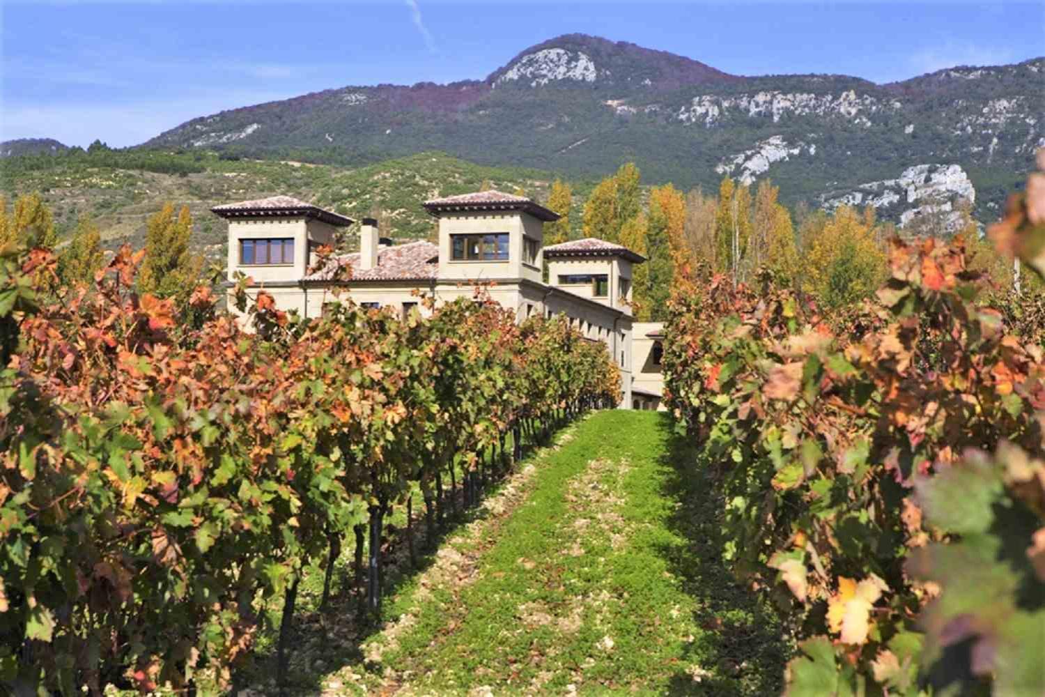 Holiday in Rioja Wine hotel and vineyards Rioja Alavesa