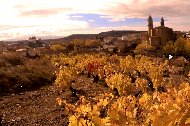 Madrid to San Sebastian Private Tour Departs from Madrid