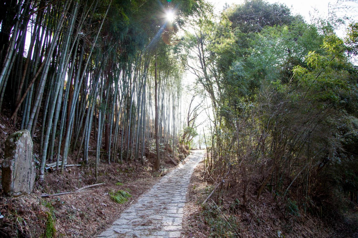 Nakasendo Walk Hiking Trail 3 Days Selfguided Walking Tour Oku Japan
