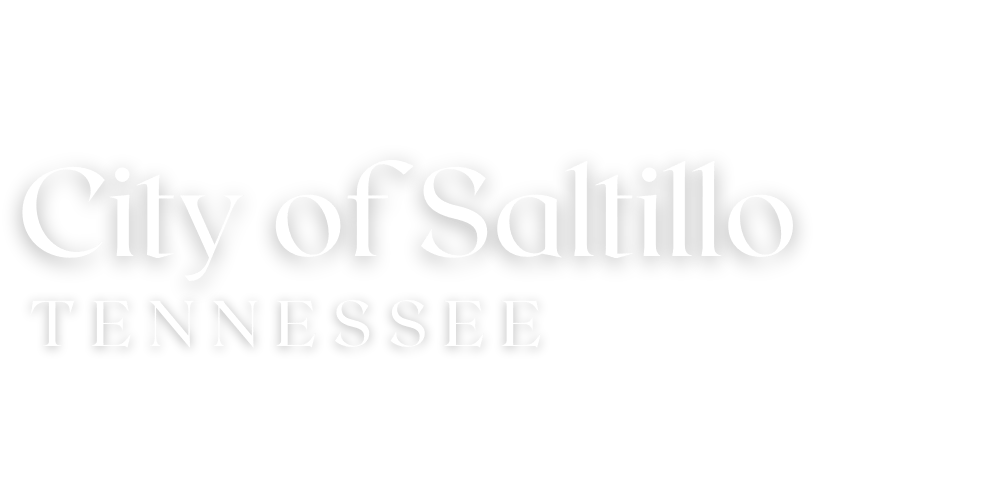 Home City of Saltillo, TN