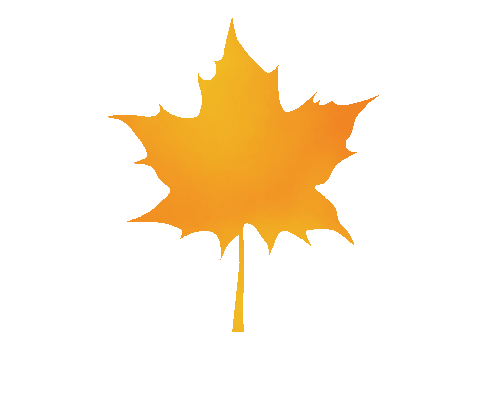 Ordinances Town of Hudson