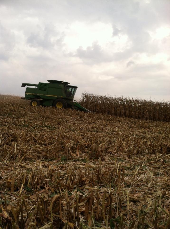 Home Town of Poygan, Winnebago County, Wisconsin