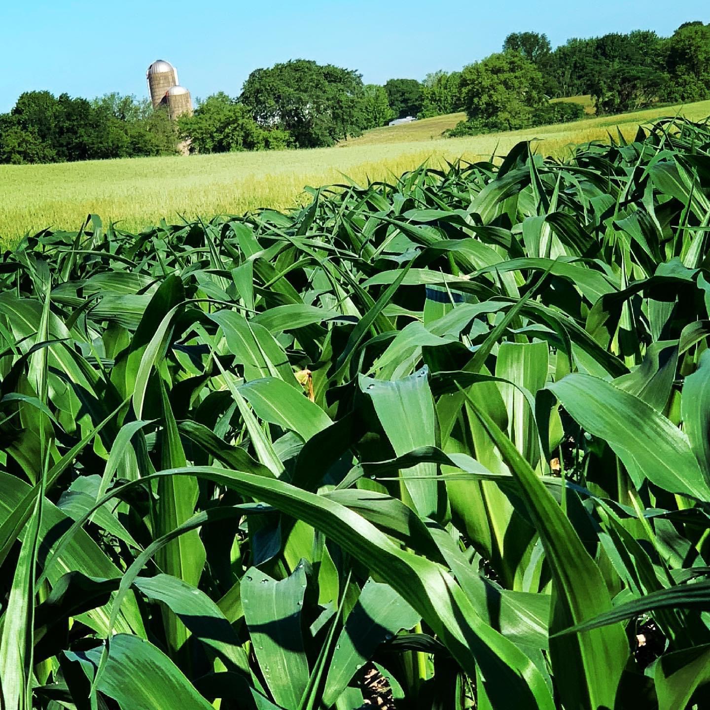 Home Town of Poygan, Winnebago County, Wisconsin