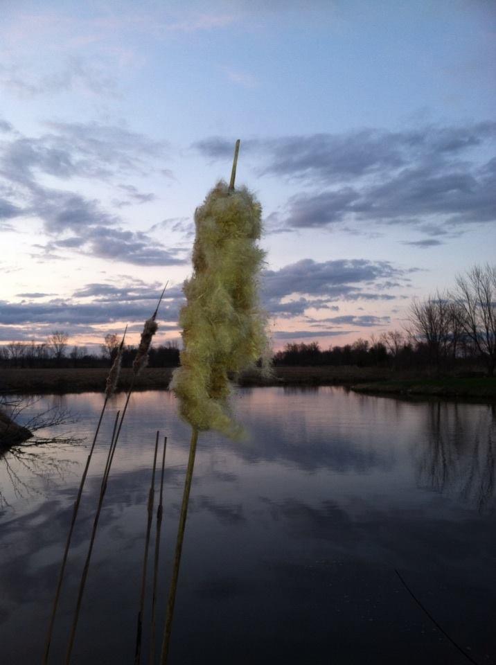 Home Town of Poygan, Winnebago County, Wisconsin