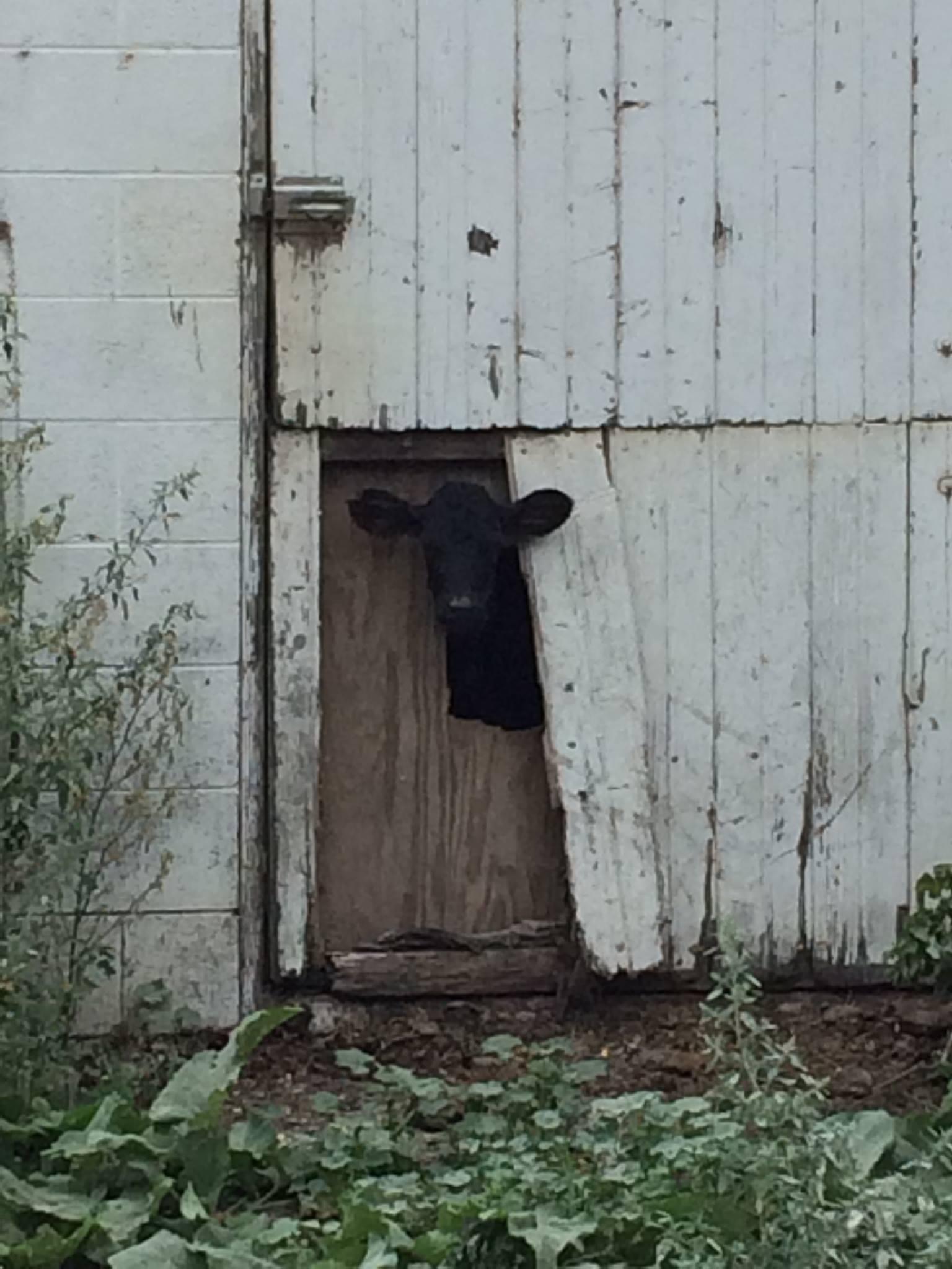 Home Town of Poygan, Winnebago County, Wisconsin