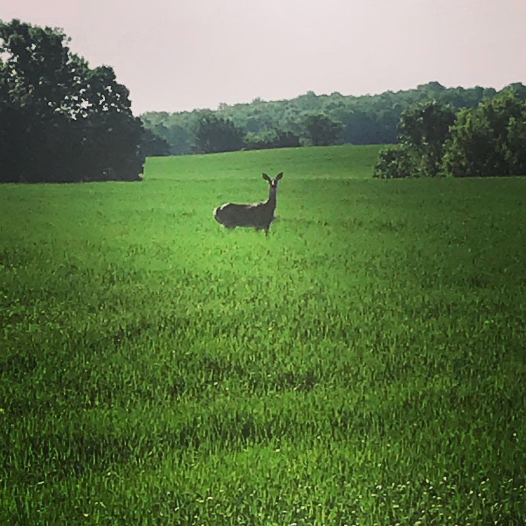 Home Town of Poygan, Winnebago County, Wisconsin
