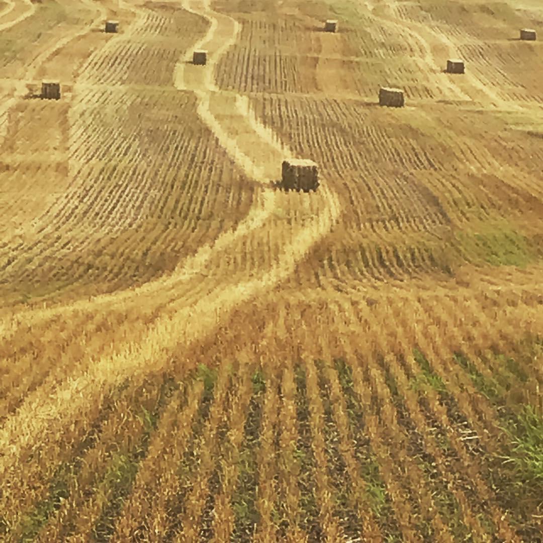 Home Town of Poygan, Winnebago County, Wisconsin